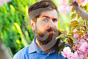 Close up portrait of spring man. Facial portrait of beautiful male model. Bearded man in light dress looking at camera