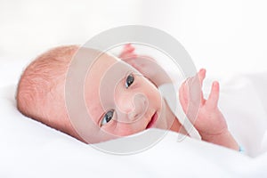 Close up portrait of a tiny newborn baby