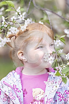 Close-up portrait of a toddler girl with red hair in front of a cherry blossom. Spring