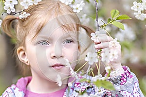 Close-up portrait of a toddler girl with red hair in front of a cherry blossom. Spring