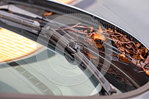 A close up portrait of a windshield wiper of a car standing at its lowest of base position and the blade is resting on the glass