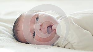 Close-up portrait of a young baby who has recently been born. Newborn infant boy at home. Window light.