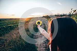 Close up portrait of young girl with brunette loose hair that pointing hand with sunflower into the distance, sunset on