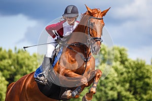 Close up portrait of young jockey girl leaping over obstacle on show jumping competition
