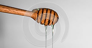 Close up a pouring golden sweet honey dripping on honey dipper