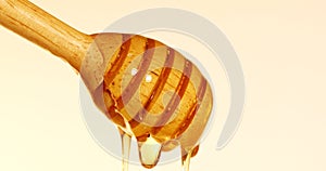 Close up pouring golden sweet honey dripping on a honey dipper vintage retro color background