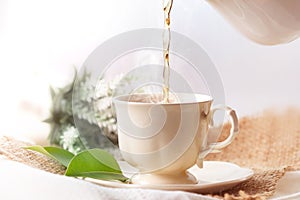 Close up pouring hot jasmine tea in a white tea cup , Tea cerem