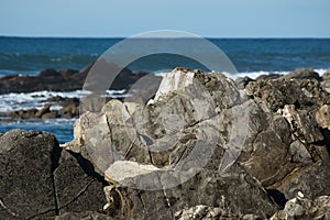 Close up on powerful breaking waves of atlantic ocean against rocks, hendaye, basque country, france