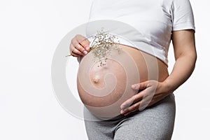 Close-up of pregnant abdomen of gravid woman holding gypsophila bunch and embracing her big belly in late pregnancy time