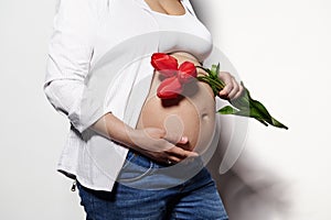 Close-up pregnant belly with stretch marks of a gravid woman, expectant mother posing with red tulips on isolated white