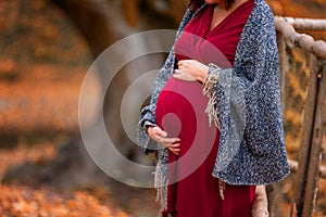 Close up of pregnant woman belly in autumn at the forest. Gravid woman wearing red dress and warm scarf.