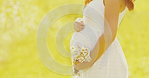 Close up pregnant woman with chamomiles flowers on a summer sunny background