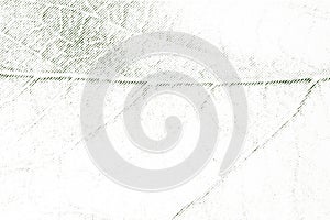 Macro of Halftone Leaf Veins Printed in Green Ink