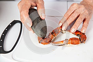 Close up of  the process of breaking down a fresh crab to take out the flesh