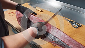 Close-up of the process of cutting tuna fish at the market. Male hands in gloves cutting a large fish with a knife.