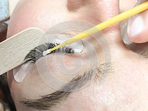Close-up. The process of removing extended eyelashes. The master applies a creamy eyelash remover using a micro brush