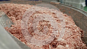 Close-up of processing lard or meat into minced meat in a huge meat grinder at a meat processing plant. Minced meat