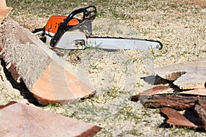 Close up professional chainsaw blade cutting log of wood