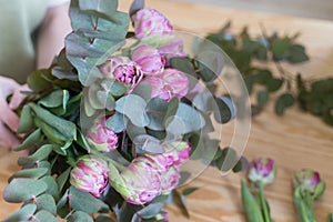 Close-up - professional florist creates a bouquet of eucalyptus and tulips. Work behind the counter of a flower shop