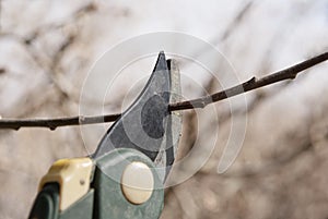 Close up of pruning shears