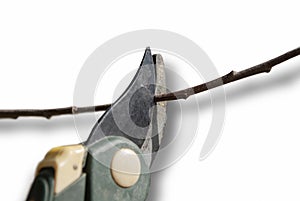 Close up of pruning shears