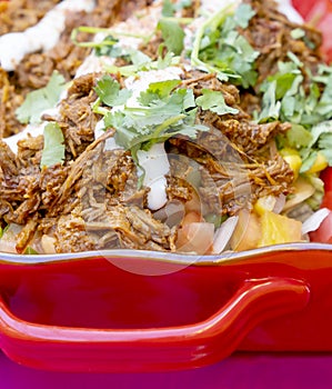Close Up of Pulled Beef On a Bed of Vegetables in a Deep Red Dish