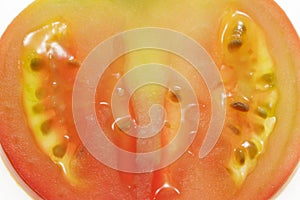 Close-up of pulp and seeds of tomato slice, backlit