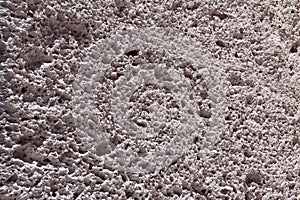 Close up of pumice stones at Campo de Piedra Pomez, Catamarca, Argentina photo