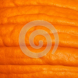 Close up of a pumpkin