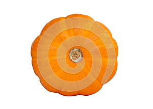 Close up pumpkin isolated on white background.