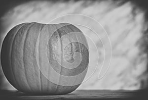 Close up on pumpkin on wood and dark background, black and white