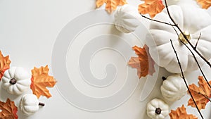 Close-up of pumpkins, orange maple leaves, twigs on white background, top view, flat lay, copy space. The concept of the beginning