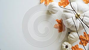 Close-up of pumpkins, orange maple leaves, twigs on white background, top view, flat lay, copy space. The concept of the beginning