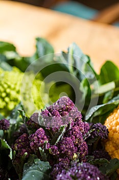 Close up on purple broccoli