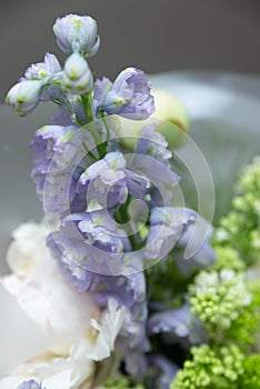 Close up of purple flower. Bouquet gathered from different flowers.