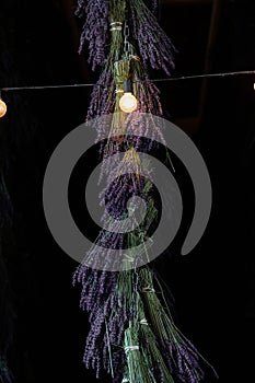Close-up of Purple Lavender Bunches Hanging to Dry with String Lights