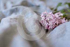 Close-up of purple lilac flowers branch in bloom on linen sheet, eco lifestyle concept, still life,