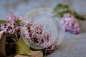 Close-up of purple lilac flowers branch in bloom on linen sheet, eco lifestyle concept, still life, space for text