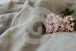 Close-up of purple lilac flowers branch in bloom on linen sheet, eco lifestyle concept, still life, space for text, rustic with