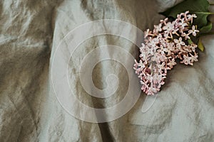 Close-up of purple lilac flowers branch in bloom on linen sheet, eco lifestyle concept, still life, space for text, rustic with