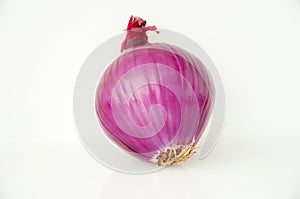 Close-up, purple, onion, white background, vegetables