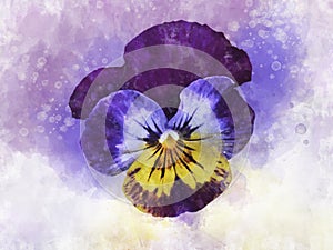 Close-up of purple pansy flower in watercolor. Botanical illustration for greeting card