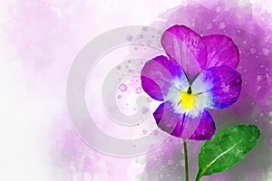 Close-up of purple pansy flower in watercolor. Botanical illustration for greeting card