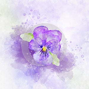Close-up of purple pansy flower in watercolor. Botanical illustration for greeting card