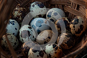 A close-up of quail eggs in a basket outside at sunset