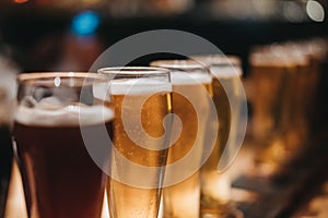 Close up of a rack of different kinds of beers, dark to light, on a table.