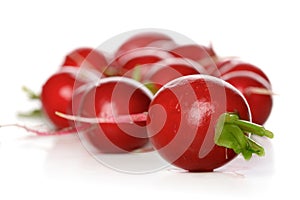 Close-up of raddish on white background