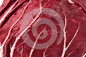 Close up of a radicchio