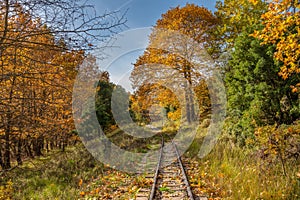Close up of a railway track in the countryside in Greece. Autumn landscape. Odontotos Railway Diakopto-Kalavrita