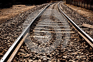 Close up of railway tracks passing or running straight through a forest type area with having surroundings dried out.